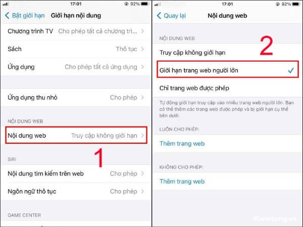 cach-chan-trang-web-den-tren-dien-thoai-android-12-2 Chọn Giới hạn trang web người lớn