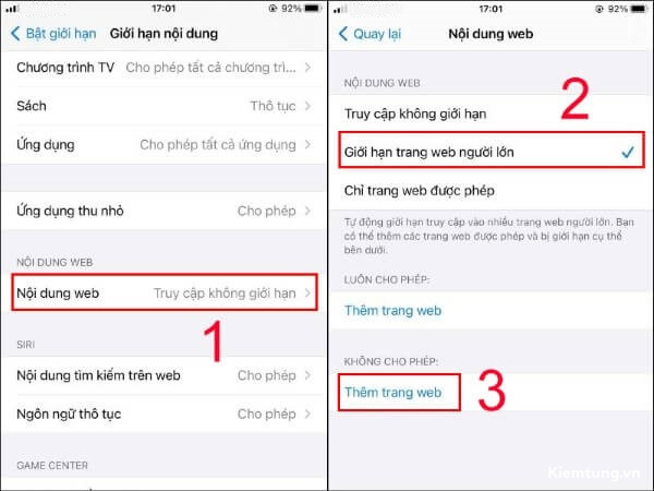cach-chan-trang-web-den-tren-dien-thoai-android-15-1 Chọn Nội dung web > Giới hạn trang web người lớn