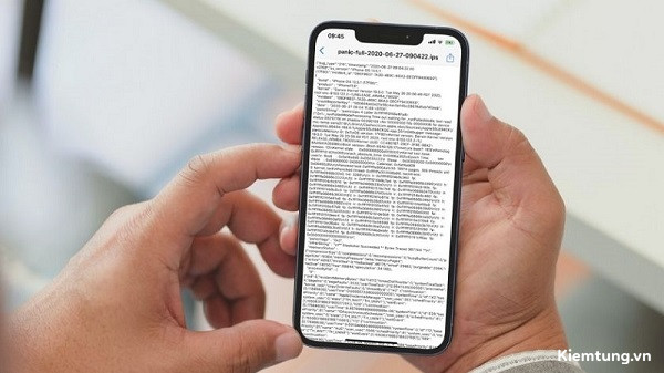 cach-doc-panic-full-iphone-1-1 Lỗi Panic Full iPhone sẽ khiến thiết bị treo hoàn toàn