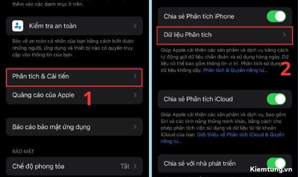 cach-doc-panic-full-iphone-4 Chọn Phân tích & Cải tiến → chọn Dữ liệu Phân tích