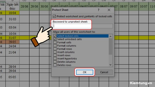 dat-mat-khau-cho-file-excel-26 Nhập mật khẩu