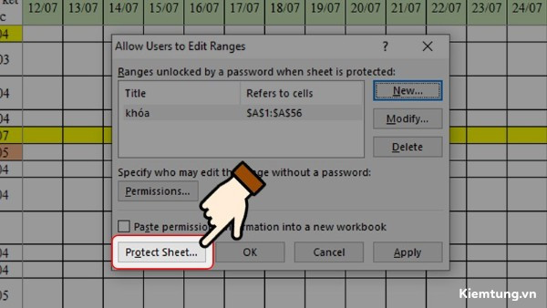 dat-mat-khau-cho-file-excel-38 Chọn Protect Sheet