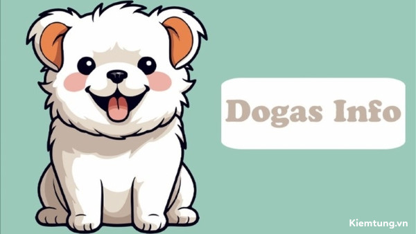 Ứng dụng chăm sóc thú cưng Dogas Info.