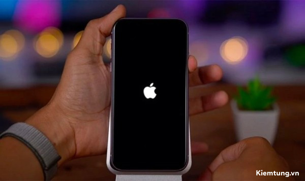 Nhấn giữ nút nguồn cho đến khi hiện logo Apple