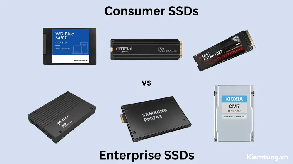So sánh ổ cứng Enterprise và Consumer Khác biệt cốt lõi giữa ổ cứng SSD Enterprise chuyên dụng và ổ SSD thông thường